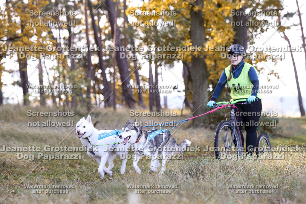 Dog Paparazzi - Elsholz 25 -77 | Dog Paparazzi Jeanette Grottendiek Fotografie & Videografie - Realisiert mit Pictrs.com