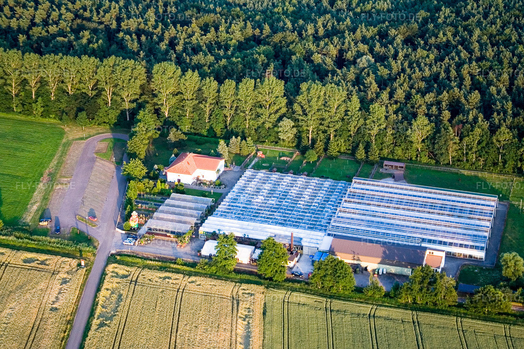 Luftbild: Kakteenland in Steinfeld im Bundesland Rheinland-Pfalz in Deutschland. Foto: IMG_3153.jpg vom 30.06.2006 durch Werner Riehm/FLY-FOTO.de