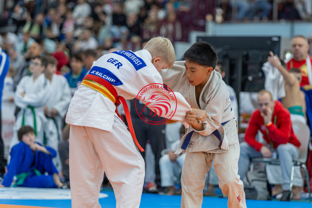 Internationaler Adler Cup 2024 | Foto vom Internationalen Adler Cup Judo Turnier im Sport- und Freizeitzentrum Kalbach im Oktober 2024 - Realisiert mit Pictrs.com