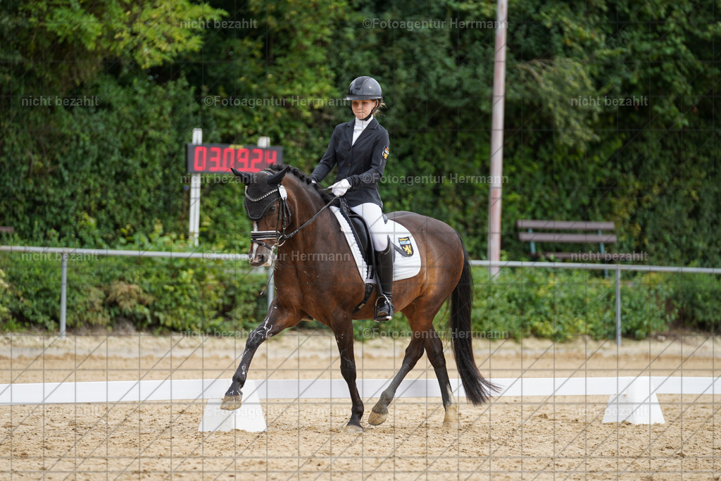 20240825-FAH00098 | Turnierbilder, Reitsportfotos, LAPO, Landesponyturnier, Turnierfotografen Bayern