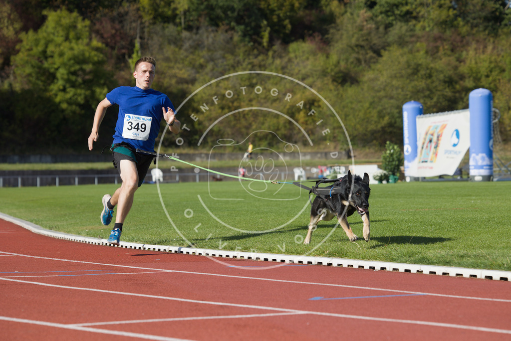 0L8A9498 | Hundefotografie, Tierfotograf, Pfotenfotografie, Fotoshooting Hund, Hunde Portrait, Hundesport, Hundeportraits, Heideshooting, Hunde, Sportfotograf, Hundefotograf, Turnierhundsport, THS,  - Realisiert mit Pictrs.com