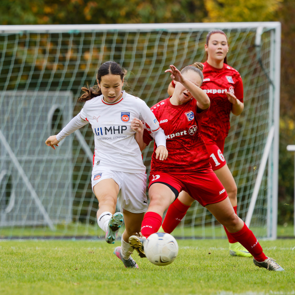 FCEFCH_251012_5038 | Fotopresso – Sportfotografie in Heidenheim & Umgebung. Professionelle Sportfotografie für unvergessliche Momente. Dynamische Action-Shots, emotionale Szenen & hochwertige Bilder. - Realisiert mit Pictrs.com