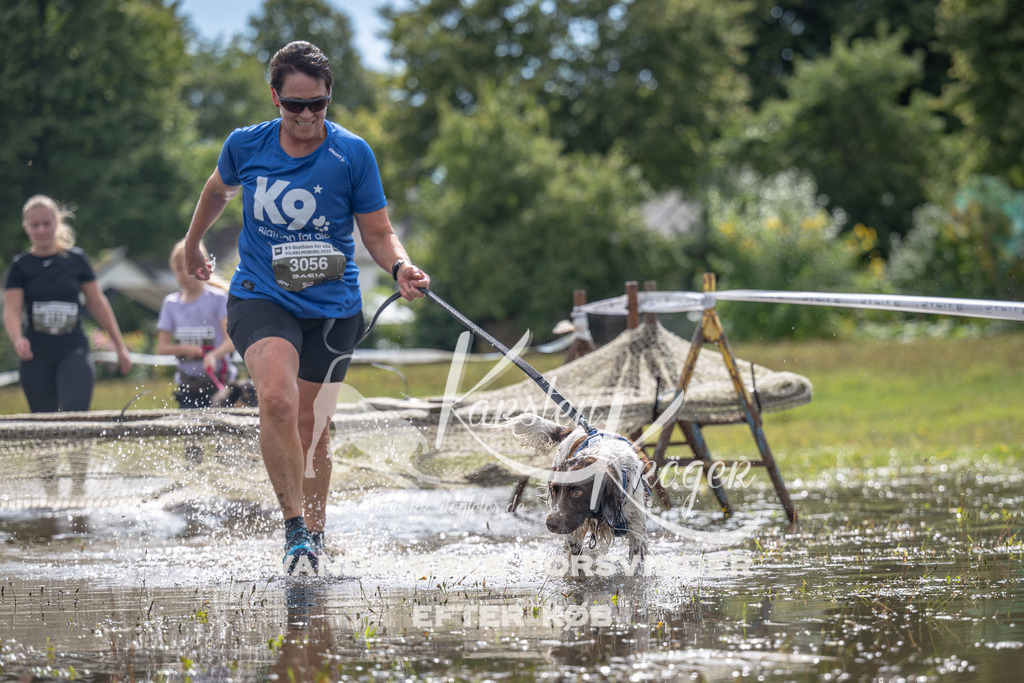 1334_ZZ90159 | kk-dogfotos