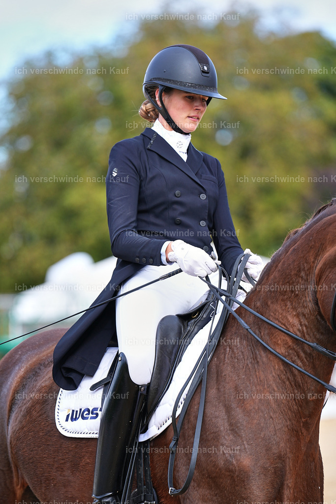 6-163-AMATUER-DRESSUR S_  -Marixx-3705 | working equitationturnier fotograf videograf stoibphotography marixx film working equitation deutschland reitsport turnierfotografie eventfotografie equestrian events