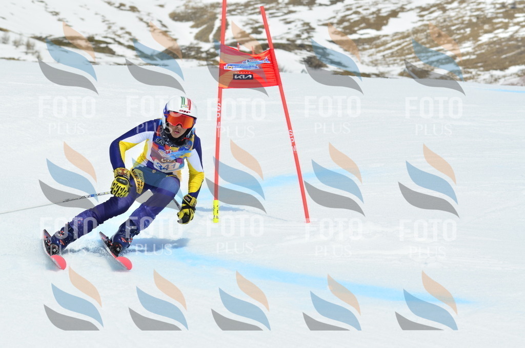 _ELE2563 | holidayphoto