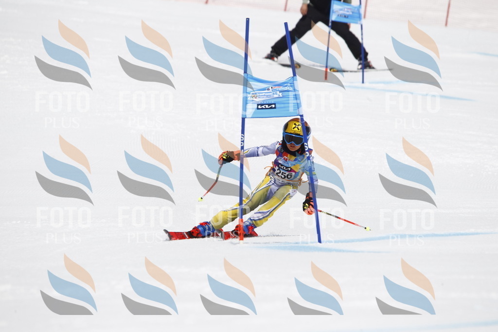 _U3G6426 | holidayphoto