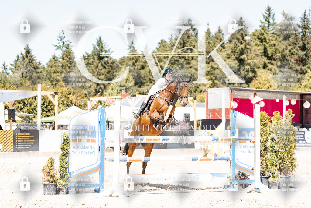 CK900262 | Turnierfotografie Pferdefotografie Trier Rheinland-Pfalz Pferdesport Reitsport Tierfotografie Sportfotografie Pferdevideo Pferdevideografie Equestrianvideography equestrianphotography  - Realisiert mit Pictrs.com