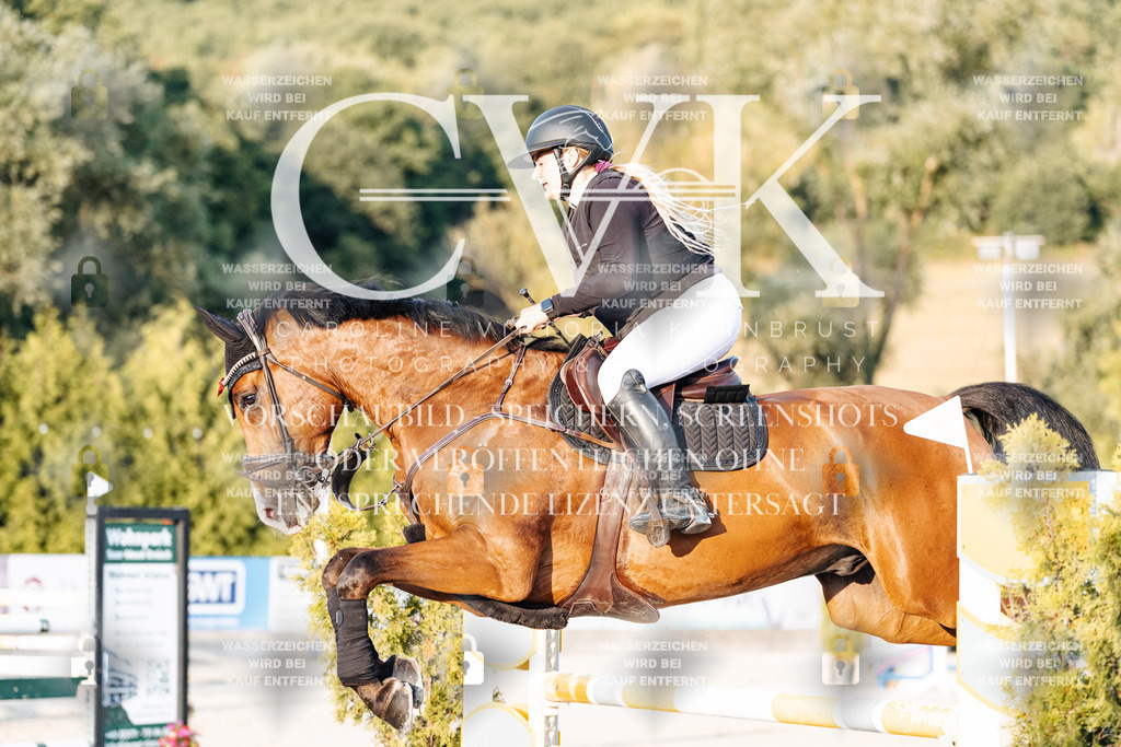 CK901005 | Turnierfotografie Pferdefotografie Trier Rheinland-Pfalz Pferdesport Reitsport Tierfotografie Sportfotografie Pferdevideo Pferdevideografie Equestrianvideography equestrianphotography  - Realisiert mit Pictrs.com