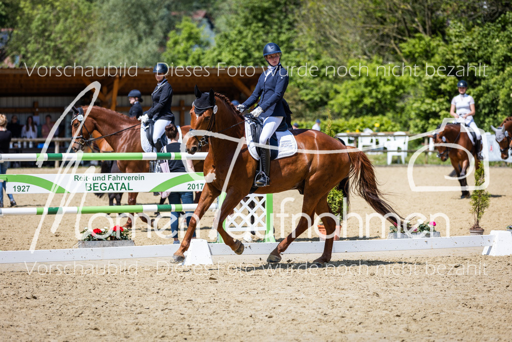 Donop24-L-Dre-118 | MomenTaufnahmen Pferdesportfotos