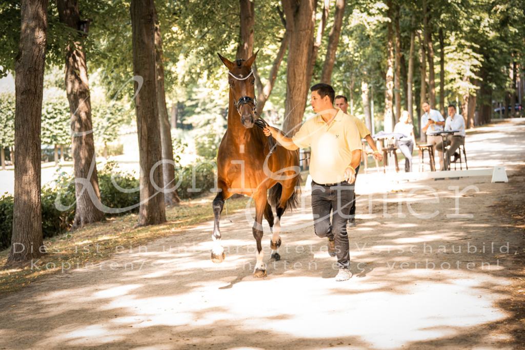 FrPfM00206 | Leoni Ertmer Photography - Realisiert mit Pictrs.com