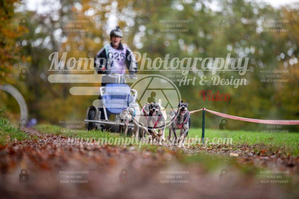 DBT_DAKM_SA_4_11_2023_Kart-1 | PayLife
