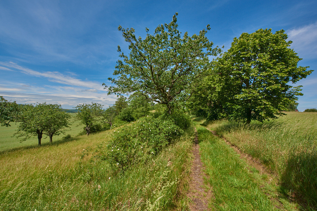 Auf dem Kanitzberg bei Burkhardswalde 08 | Bedeutsame Landschaften Deutschlands - Realisiert mit Pictrs.com