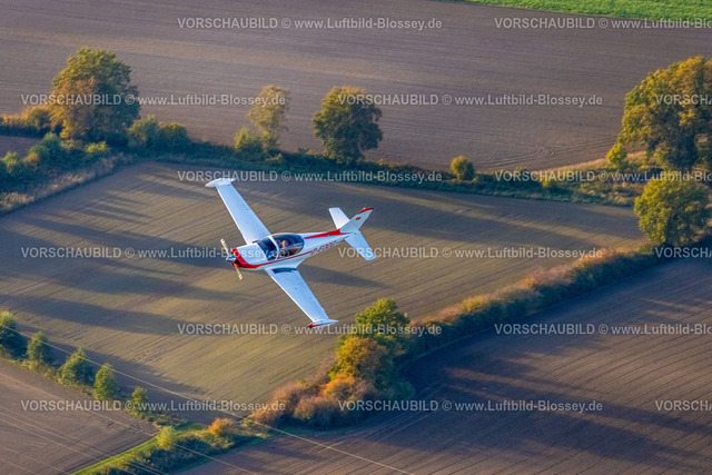 Hamm221006429marchetti_Thorsten_Wesselmann | Luftbild, Flugzeug in der Luft, Flugzeug D-EODG, Aircraft D-EODG, SIAI-Marchetti SF-260, einmotoriges Leichtflugzeug, Bäume in Herbstfarben, Heessen, Hamm, Ruhrgebiet, Nordrhein-Westfalen, Deutschland