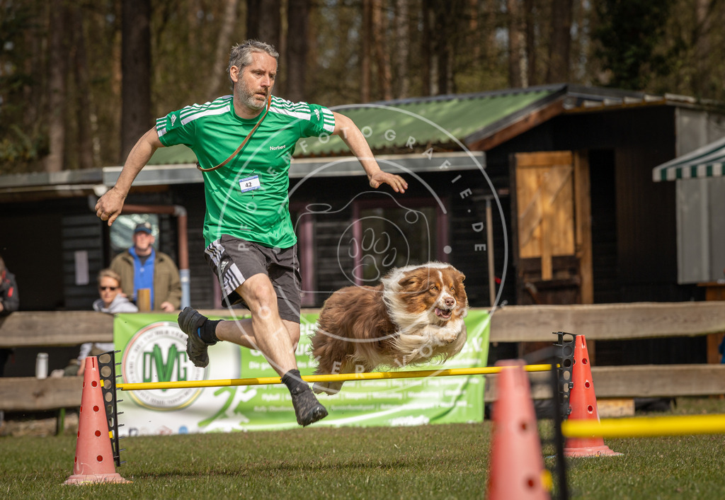 Pfotenfotografie_DV3A6630 | Hundefotografie, Tierfotograf, Pfotenfotografie, Fotoshooting Hund, Hunde Portrait, Hundesport, Hundeportraits, Heideshooting, Hunde, Sportfotograf, Hundefotograf, Turnierhundsport, THS,  - Realisiert mit Pictrs.com