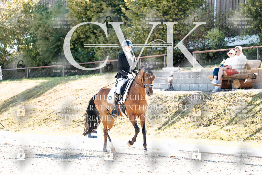 CK909272 | Turnierfotografie Pferdefotografie Trier Rheinland-Pfalz Pferdesport Reitsport Tierfotografie Sportfotografie Pferdevideo Pferdevideografie Equestrianvideography equestrianphotography  - Realisiert mit Pictrs.com