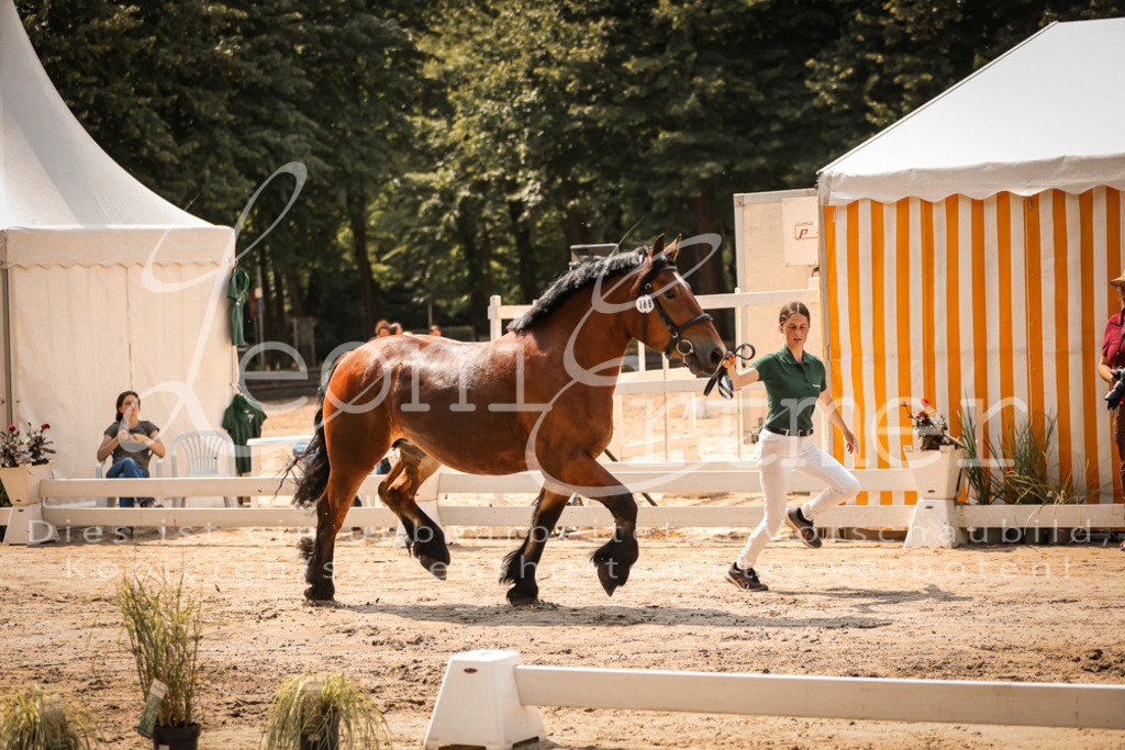 2.Sa00050 | Leoni Ertmer Photography - Realisiert mit Pictrs.com