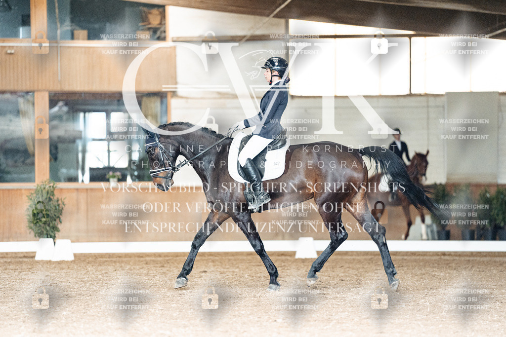 CK902335 | Turnierfotografie Pferdefotografie Trier Rheinland-Pfalz Pferdesport Reitsport Tierfotografie Sportfotografie Pferdevideo Pferdevideografie Equestrianvideography equestrianphotography  - Realisiert mit Pictrs.com