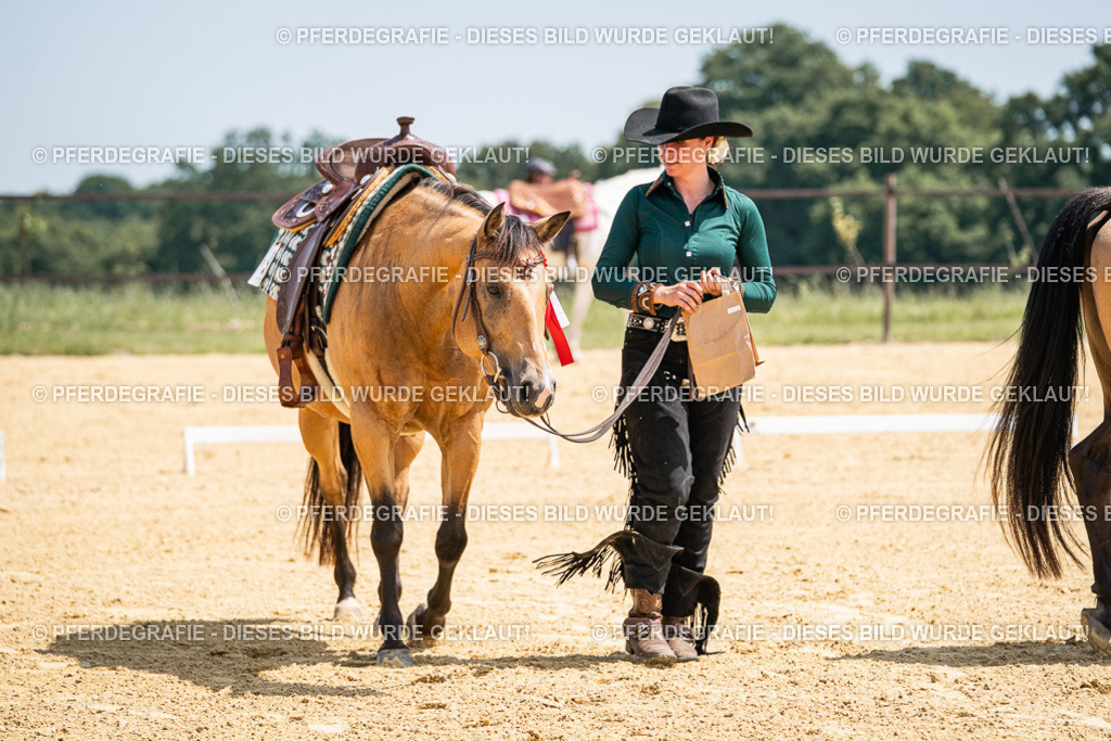 DSC01414 | Pferdegrafie