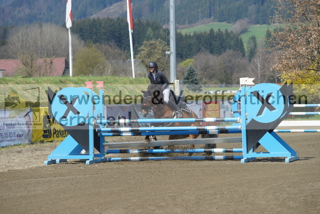 DSC04079 | equestrian-live-com