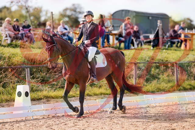 2026_10_03_Siefer-Hof_122628_Z81_25714712 | Professionelle Reitsport-, Turnier- und Eventfotografie von Robert Broda. Galerien mit ausgewählten und bearbeiteten Bildern direkt online ansehen und bestellen.
