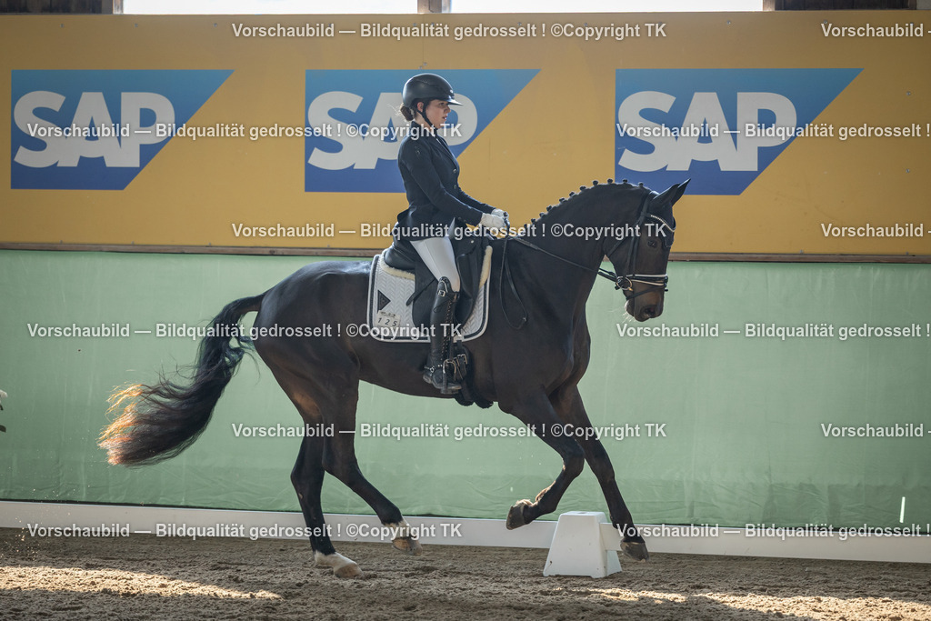 _D5A8485 | Emotionale Pferde- & People-Fotografie rund um Heidelberg, Leimen & Umgebung. Natürliche Fotos von Pferd, Mensch & Familie. Jetzt Termin sichern!