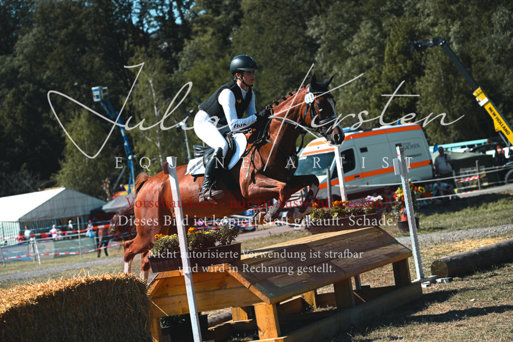 DSC_8175 | Pferde- und Turnierfotografie in Westsachsen. Pferdeportraits, Auftragszeichnungen und intuitive Kunst.