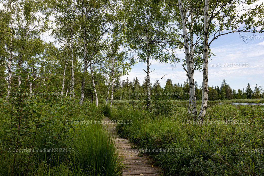 _J3A5416 | medienkrizzler - Realisiert mit Pictrs.com