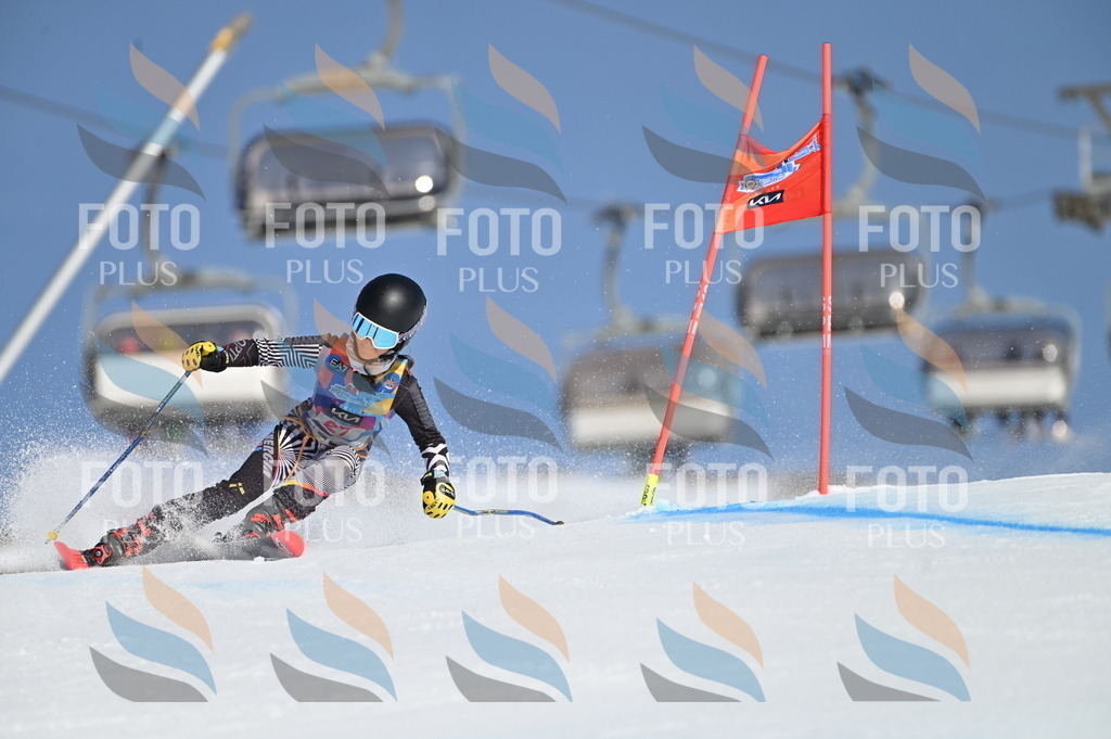 BGV_8082 | holidayphoto