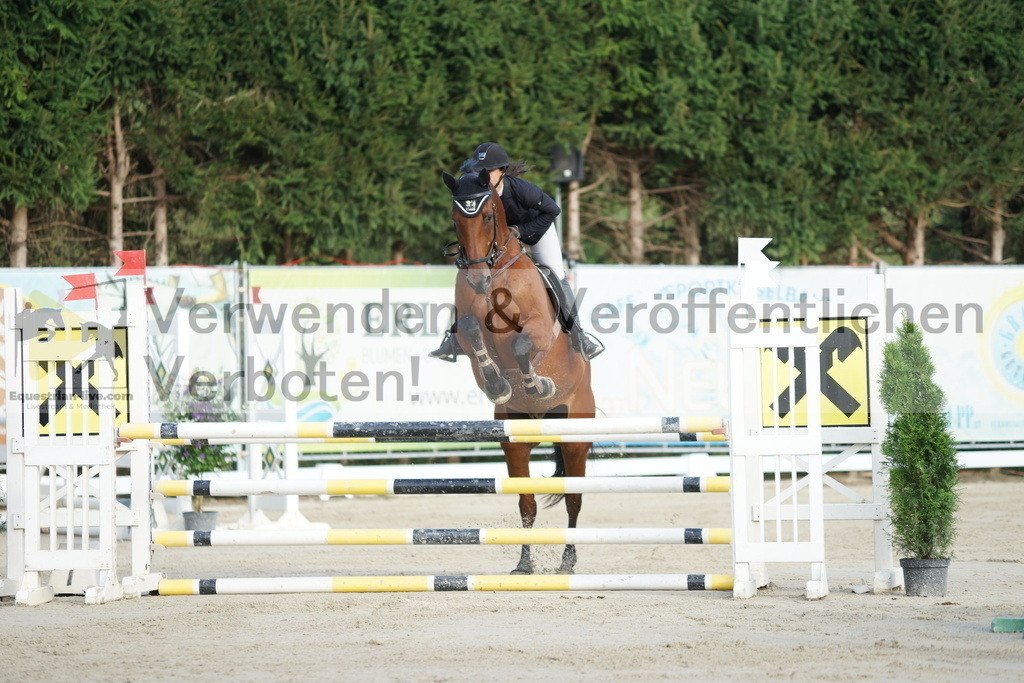 DSC01500 | equestrian-live-com