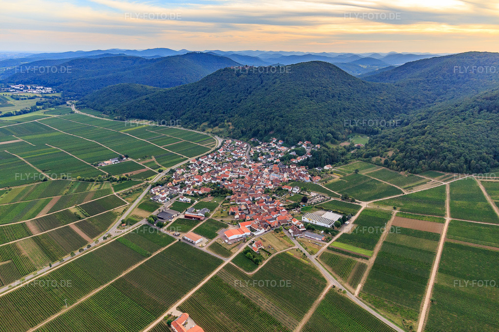Luftbild: Winzerdorf zu Füßen des Haardtrands aus Nordosten in Eschbach im Bundesland Rheinland-Pfalz in Deutschland. Foto: IMG_094583.jpg vom 02.09.2016 durch Werner Riehm/FLY-FOTO.de