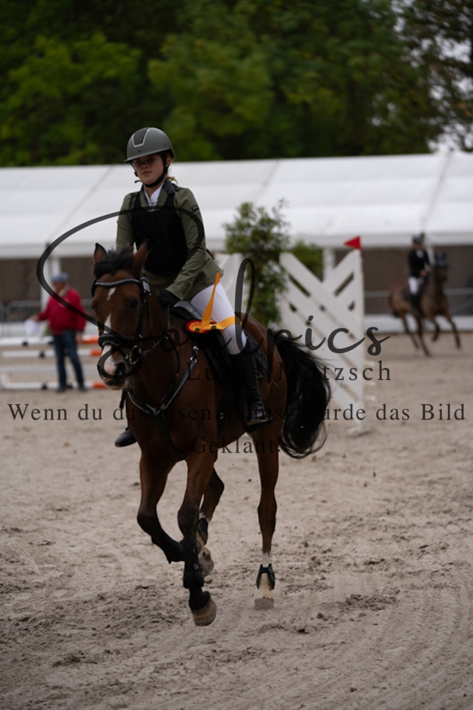 A7V09776 | Pferdefotograf