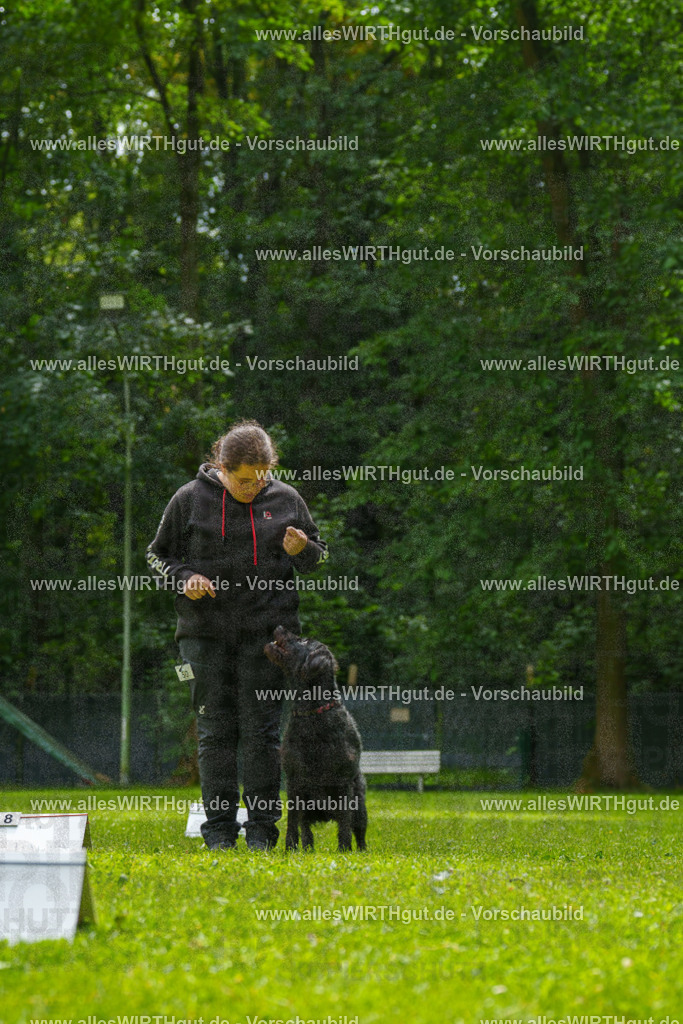 @allesWIRTHgut_Tierfotografie - www.allesWIRTHgut.de - 7R500717 | Professionelle Tierfotografie in Mönchengladbach von Daniel Wirth (allesWIRTHgut). Liebevolle & natürliche Bilder von Hunden & Katzen für unvergessliche Erinnerungen.