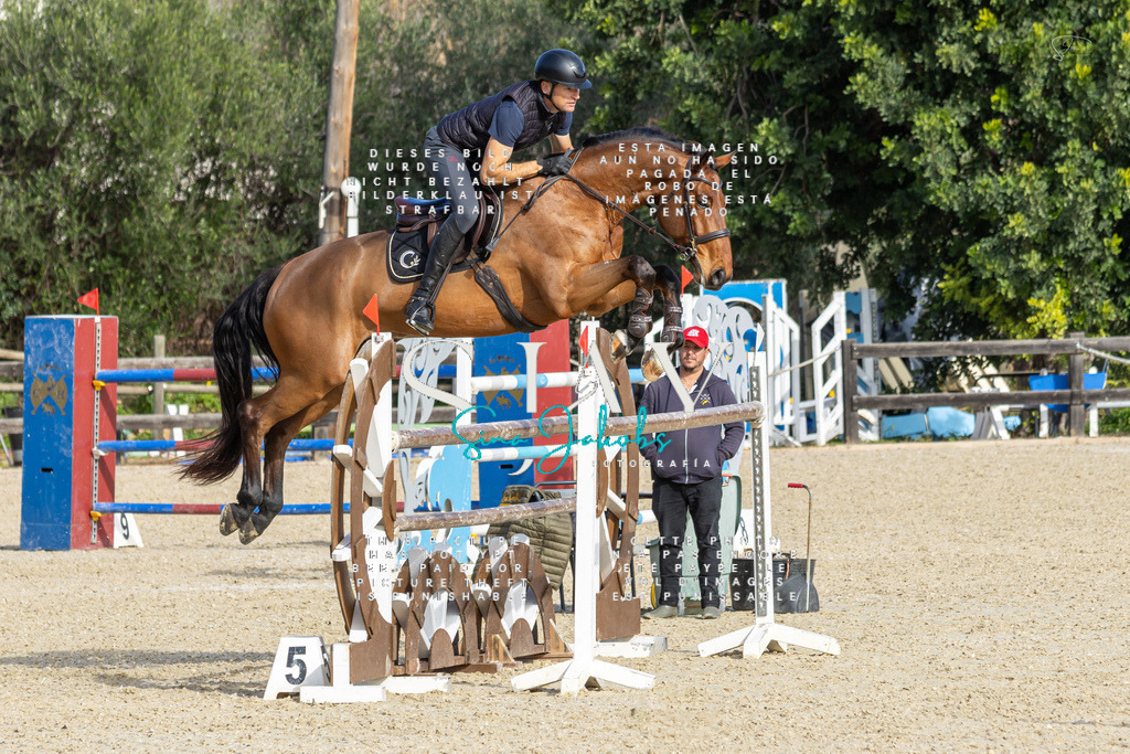 IMG_4637 | s-jay-photography - Realisiert mit Pictrs.com