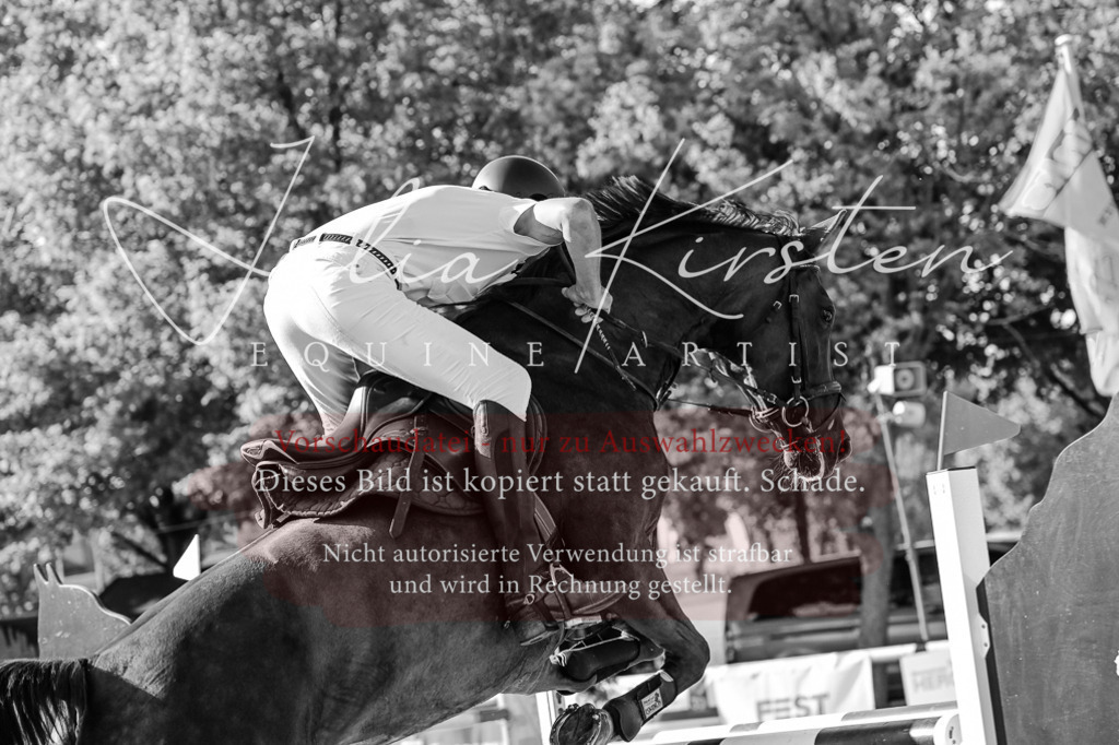 DSC_2755 | Pferde- und Turnierfotografie in Westsachsen. Pferdeportraits, Auftragszeichnungen und intuitive Kunst.
