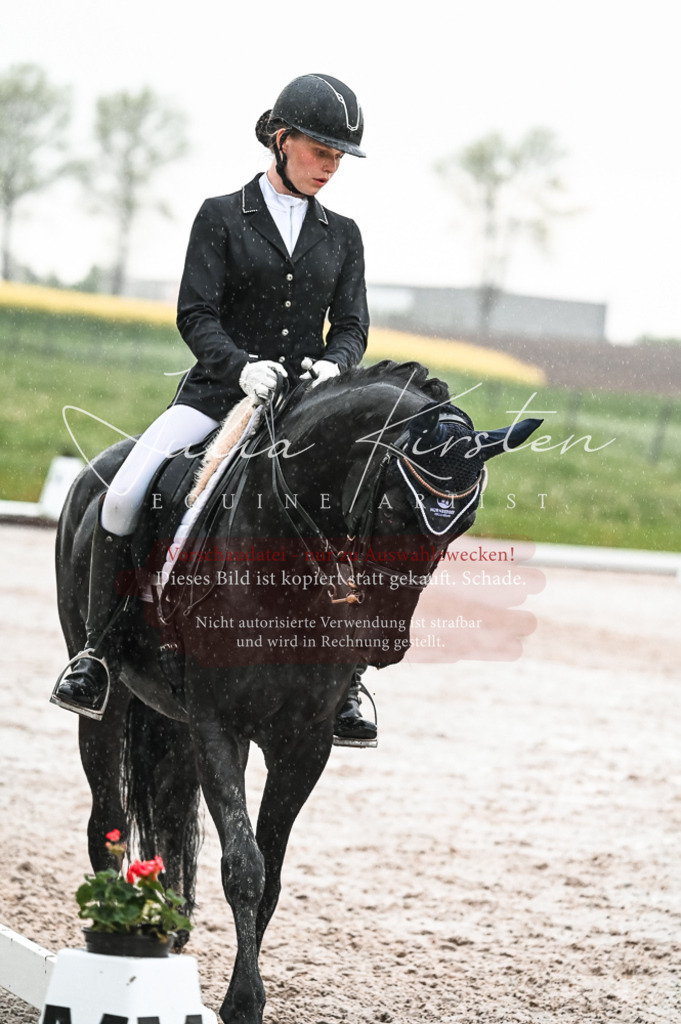 DSC_4737 | Pferde- und Turnierfotografie in Westsachsen. Pferdeportraits, Auftragszeichnungen und intuitive Kunst.