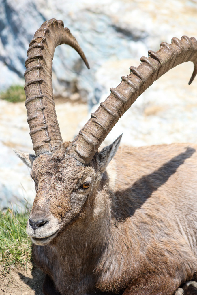 A.Trupina-42 | antonija-trupina - Realisiert mit Pictrs.com