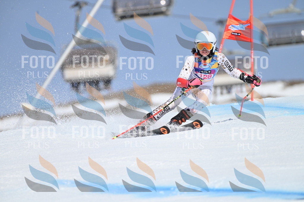 BGV_9946 | holidayphoto