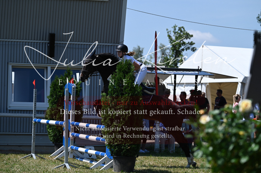 DSC_0741 | Pferde- und Turnierfotografie in Westsachsen. Pferdeportraits, Auftragszeichnungen und intuitive Kunst.