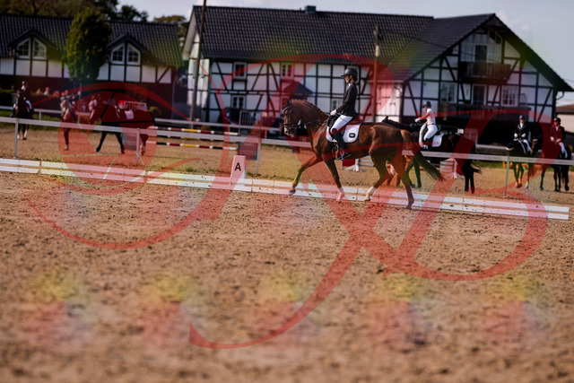 2026_10_03_Siefer-Hof_133143_Z81_86110752 | Professionelle Reitsport-, Turnier- und Eventfotografie von Robert Broda. Galerien mit ausgewählten und bearbeiteten Bildern direkt online ansehen und bestellen.