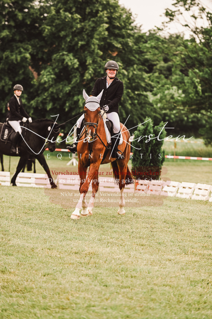 DSC_5057 | Pferde- und Turnierfotografie in Westsachsen. Pferdeportraits, Auftragszeichnungen und intuitive Kunst.