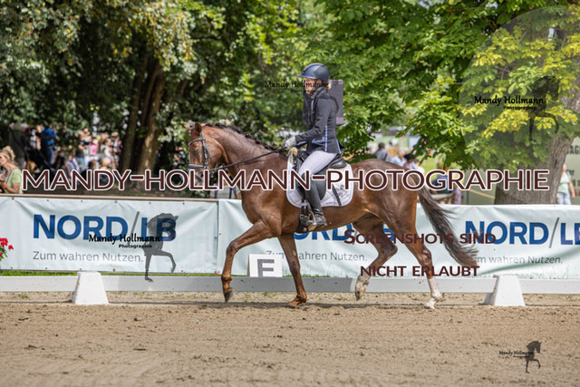26.725 D2 49 (611 von 854) | mandyhollmannphotographie