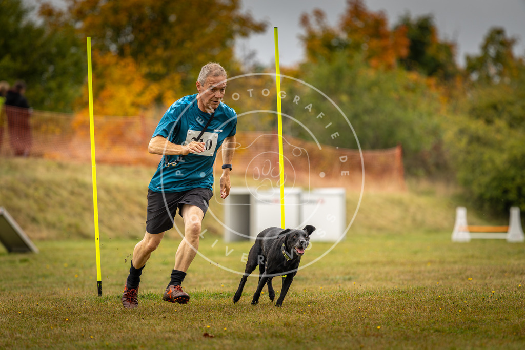 Pfotenfotografie_DV3A2378 | Hundefotografie, Tierfotograf, Pfotenfotografie, Fotoshooting Hund, Hunde Portrait, Hundesport, Hundeportraits, Heideshooting, Hunde, Sportfotograf, Hundefotograf, Turnierhundsport, THS,  - Realisiert mit Pictrs.com