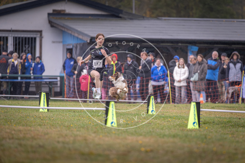 Pfotenfotografie_DV3A9792 | Hundefotografie, Tierfotograf, Pfotenfotografie, Fotoshooting Hund, Hunde Portrait, Hundesport, Hundeportraits, Heideshooting, Hunde, Sportfotograf, Hundefotograf, Turnierhundsport, THS,  - Realisiert mit Pictrs.com