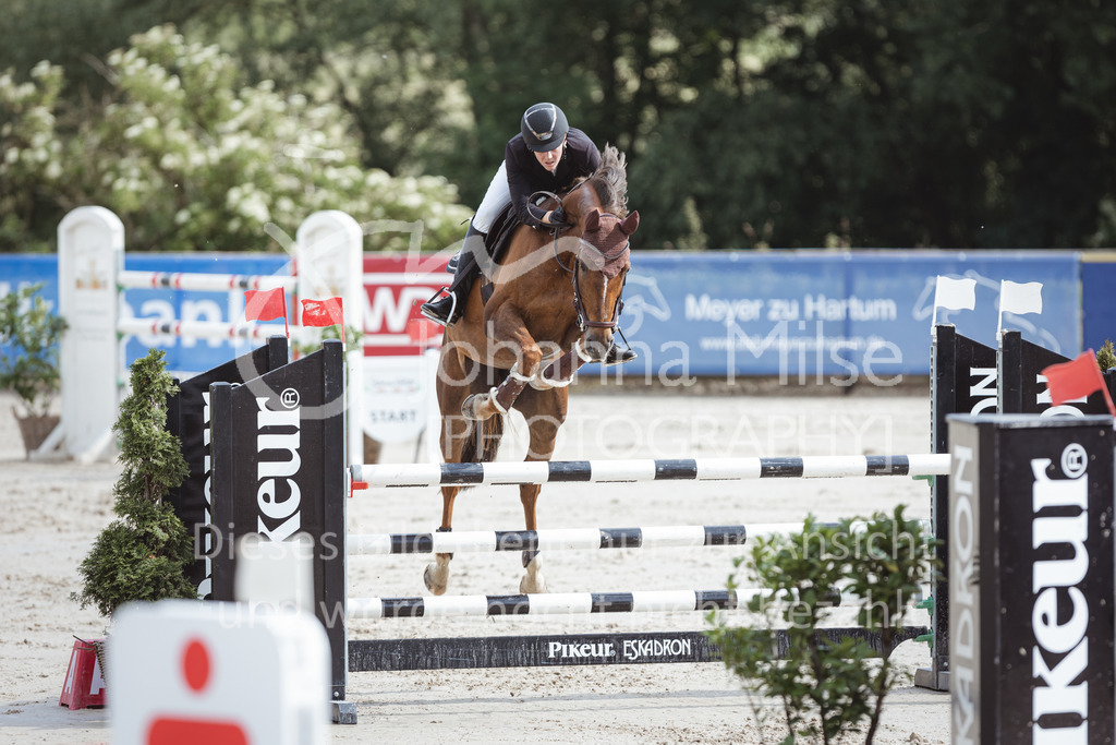 220610_PfSpTa_L-Spr-205 | Lützower Pferdesporttage 2022
L-Springen geschlossen
10.06.2022