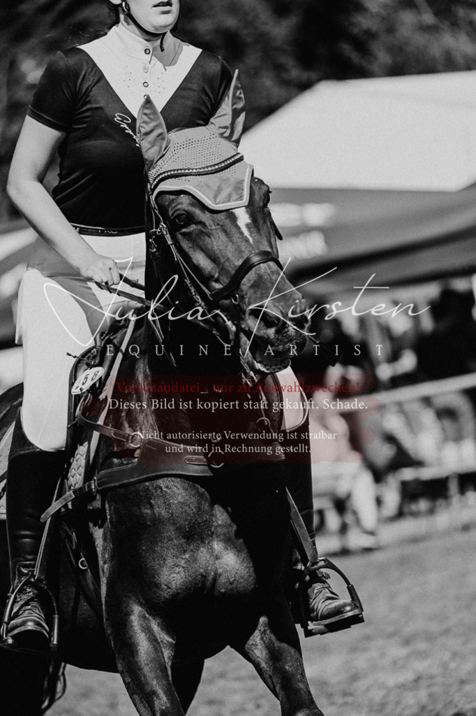 DSC_9641 | Pferde- und Turnierfotografie in Westsachsen. Pferdeportraits, Auftragszeichnungen und intuitive Kunst.