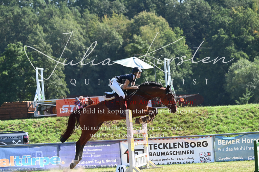 DSC_6444 | Pferde- und Turnierfotografie in Westsachsen. Pferdeportraits, Auftragszeichnungen und intuitive Kunst.
