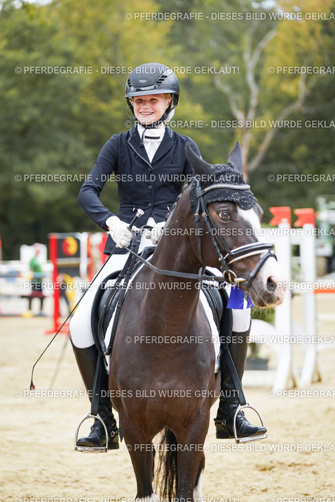 DSC06122 | Pferdegrafie