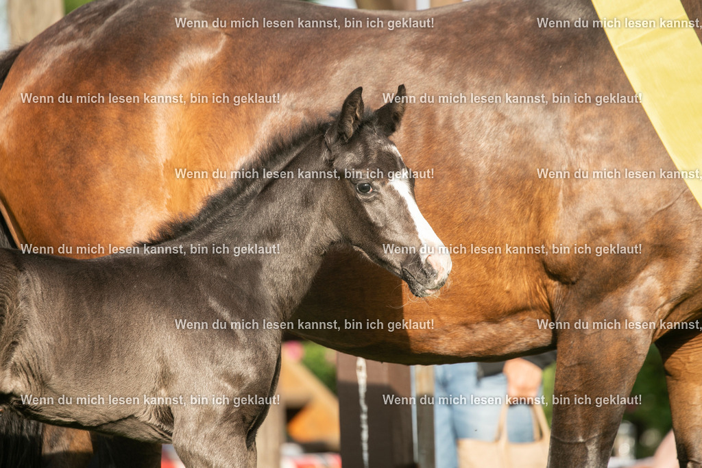 598A7519 | photographylinaismer - Realisiert mit Pictrs.com
