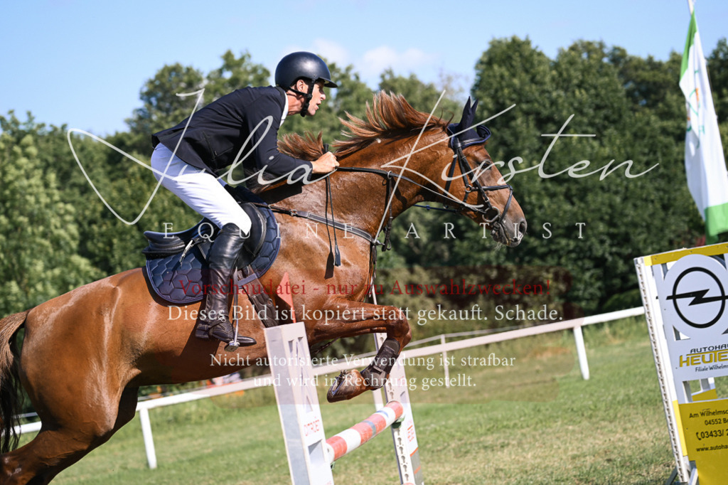DSC_1478 | Pferde- und Turnierfotografie in Westsachsen. Pferdeportraits, Auftragszeichnungen und intuitive Kunst.