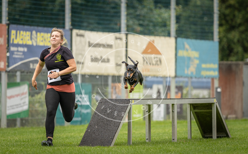 Pfotenfotografie_DV3A8562 | Hundefotografie, Tierfotograf, Pfotenfotografie, Fotoshooting Hund, Hunde Portrait, Hundesport, Hundeportraits, Heideshooting, Hunde, Sportfotograf, Hundefotograf, Turnierhundsport, THS,  - Realisiert mit Pictrs.com